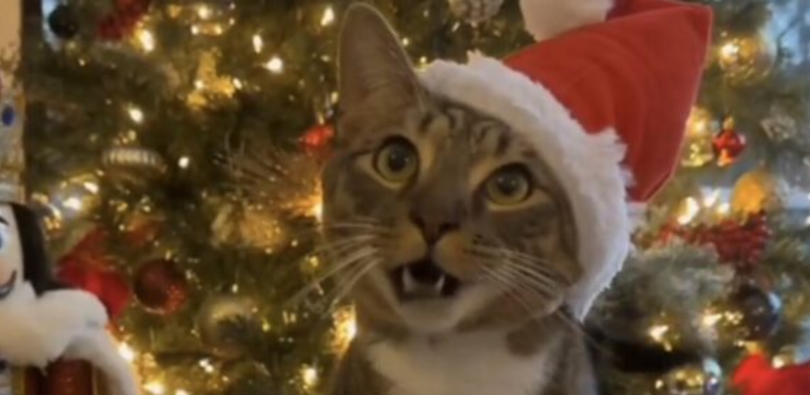 Memetic Monday: Holly Jolly Monday